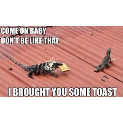 🩷sweet / razzy🩷