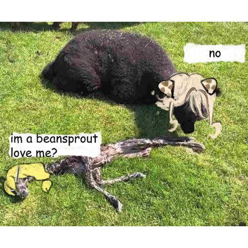 π©·sweet / razzyπ©·