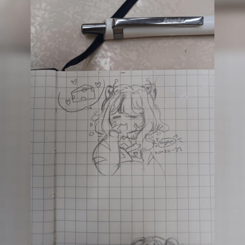 nikkoruu