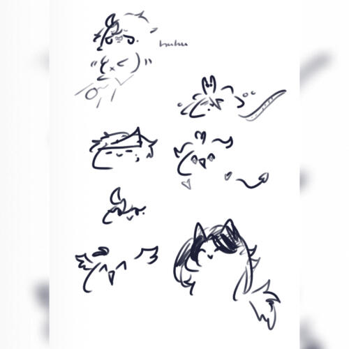 Tora